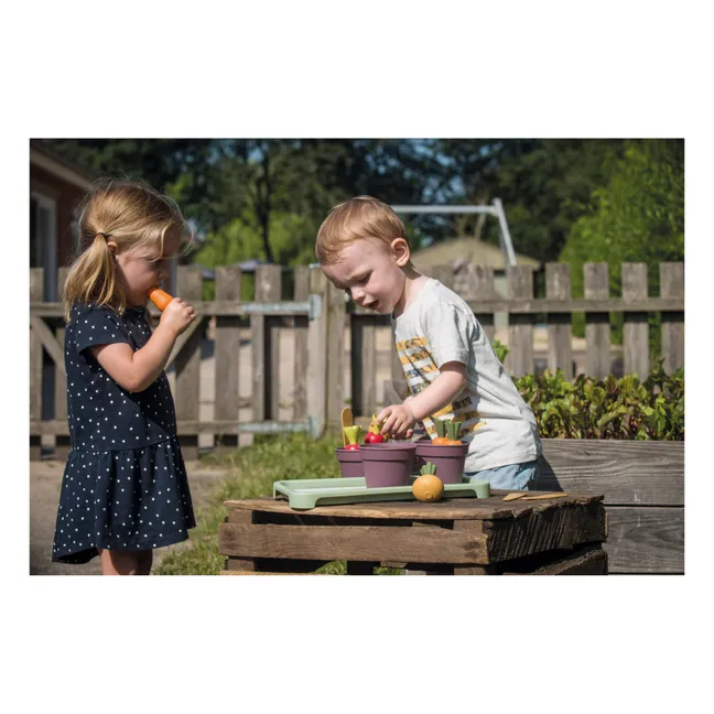 Kit greenhouse en bioplastique