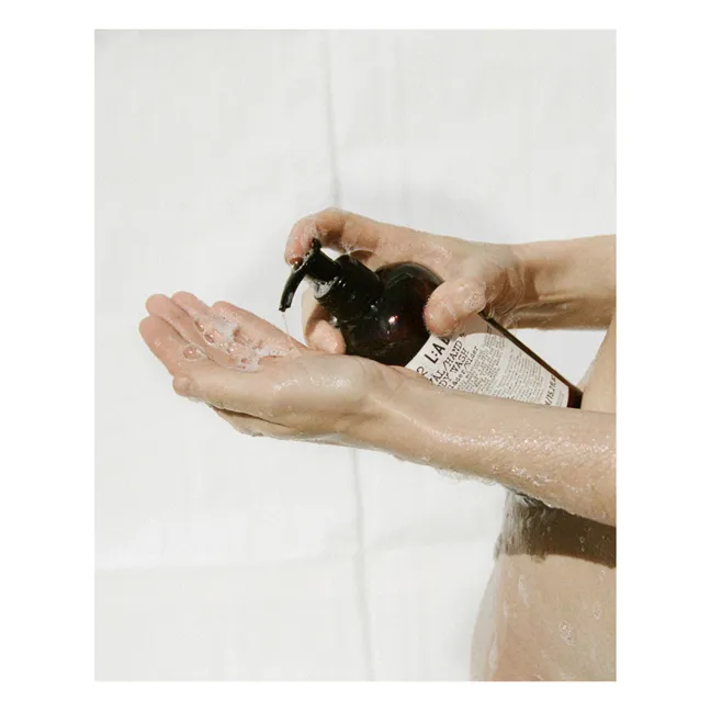 Hand- und Körperreiniger Salbei Rosmarin Lavendel 094 - 450 ml