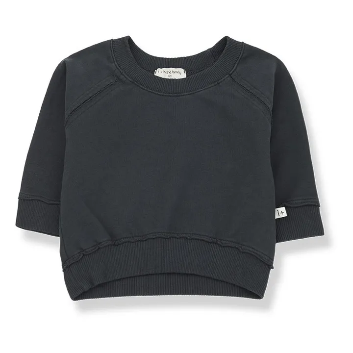 Kirian Sweatshirt | Carbon- Product image n°0