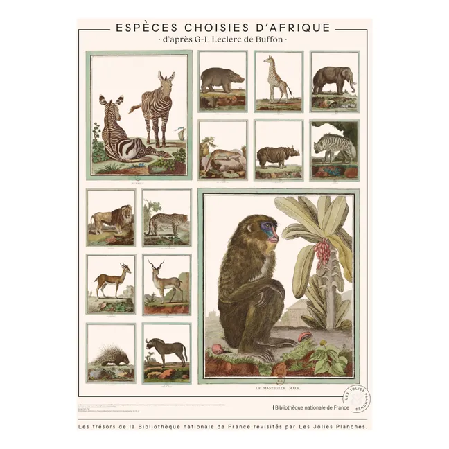 African Animals from Buffon’s Encyclopaedia