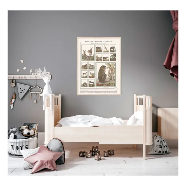 African Animals from Buffon’s Encyclopaedia