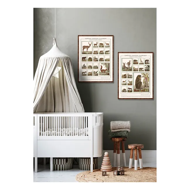 African Animals from Buffon’s Encyclopaedia