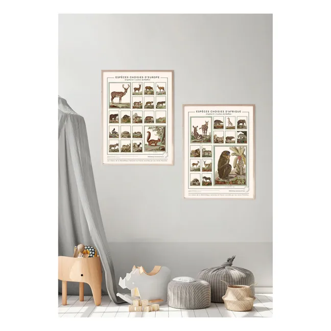 African Animals from Buffon’s Encyclopaedia