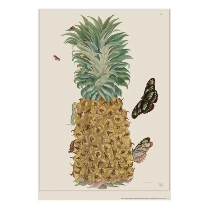 Poster Ananas - Merian- Produktbild Nr. 2