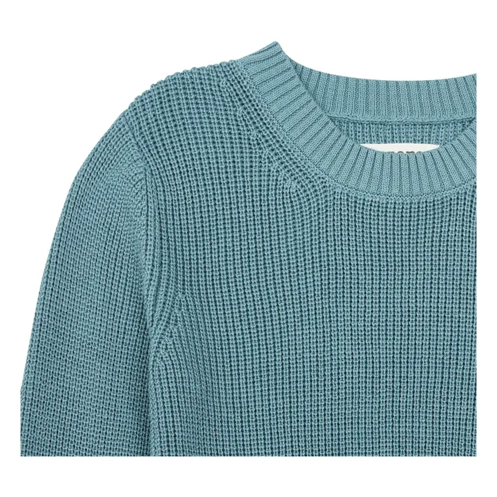 Jersey de algodón orgánico | Azul Claro- Imagen del producto n°1