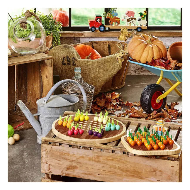 La traversée du potager (Attraversamento dell'orto) 