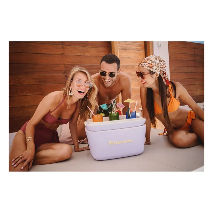 Coloured Handle Cool Box | Lilac- Product image n°1