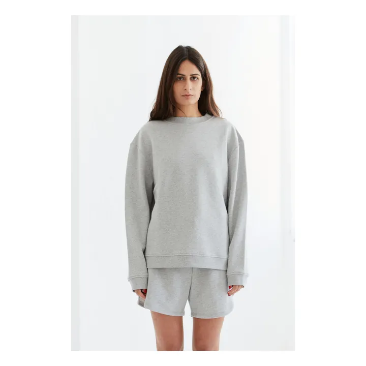 Sweatshirt Alba Bio-Baumwolle | Grau- Produktbild Nr. 0