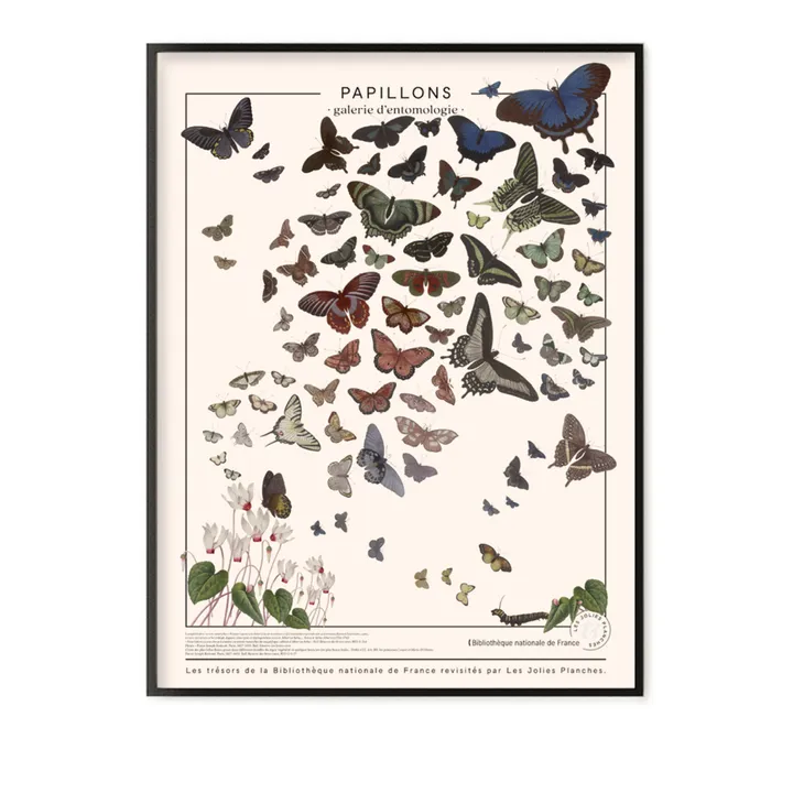 Tavola "I tesori della biblioteca nazionale": Farfalle 60x80cm - Immagine del prodotto n°0