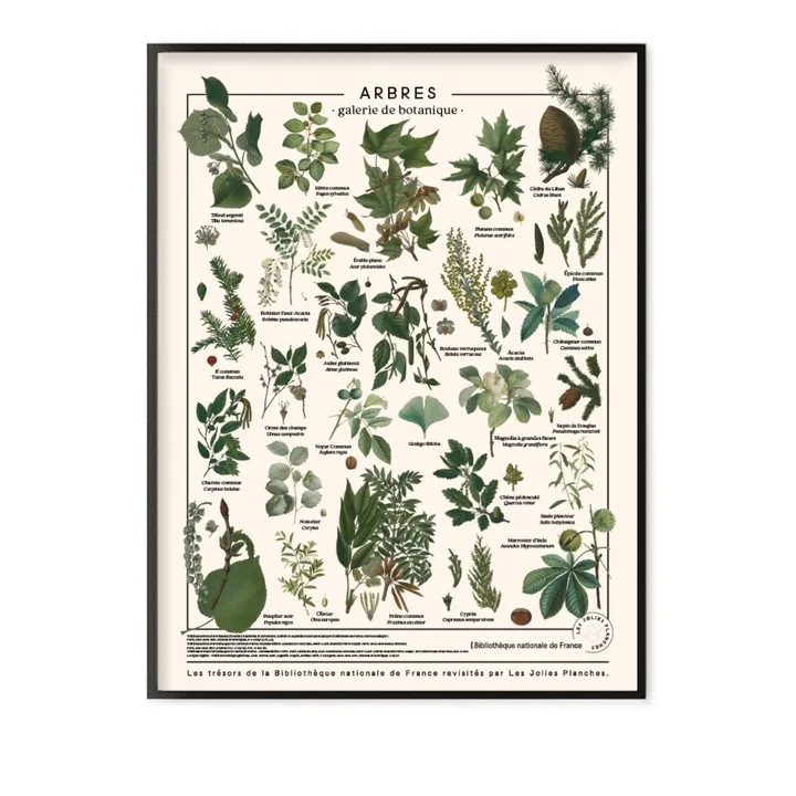 Tablero de árboles- Imagen del producto n°0