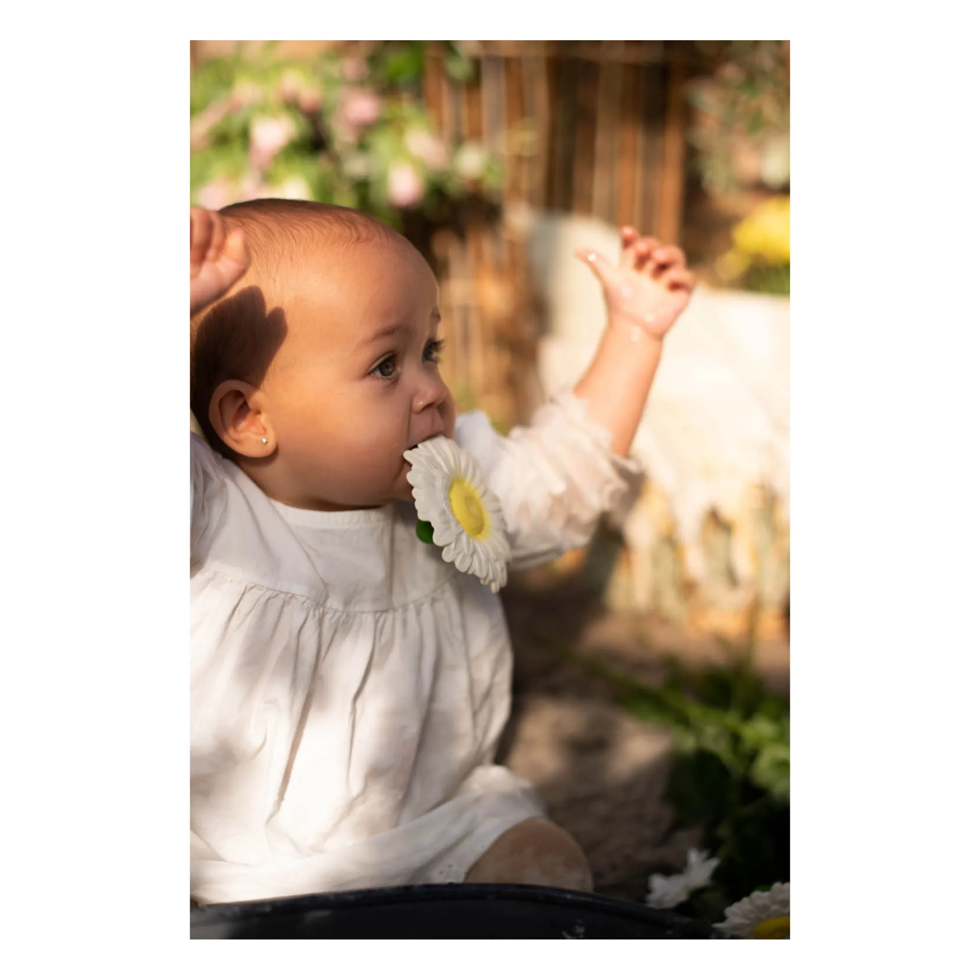 Oli & Carol - Jouet de dentition Margarita la Margherite (Oli & Carol) - Image 2