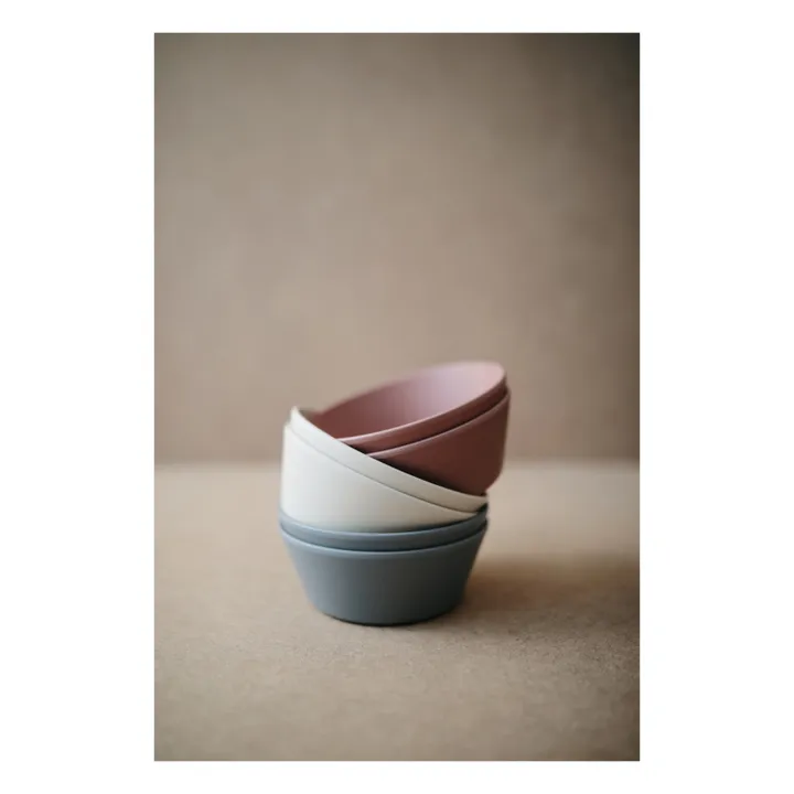Bol en silicone | Vieux Rose- Image produit n°2