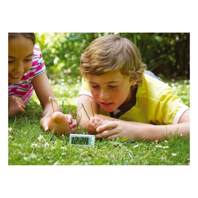 Potato Clock 
