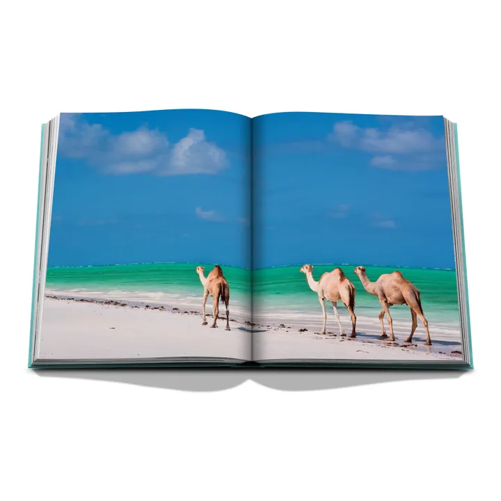 Red Sea: The Saudi Coast - Product image n°1