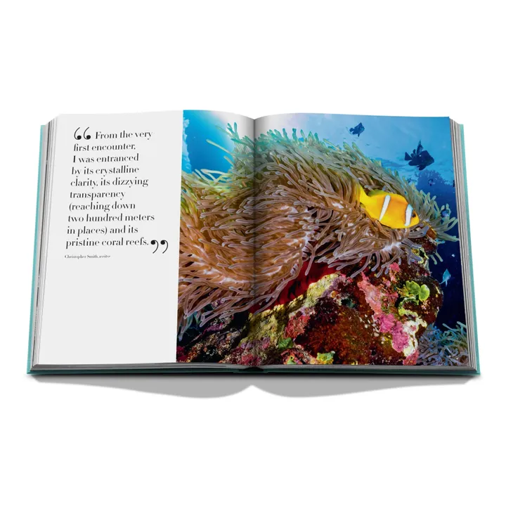 Red Sea: The Saudi Coast - Product image n°3