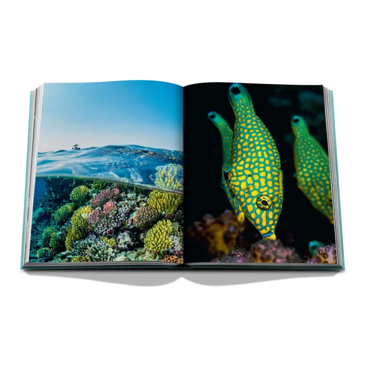 Red Sea: The Saudi Coast - Product image n°6