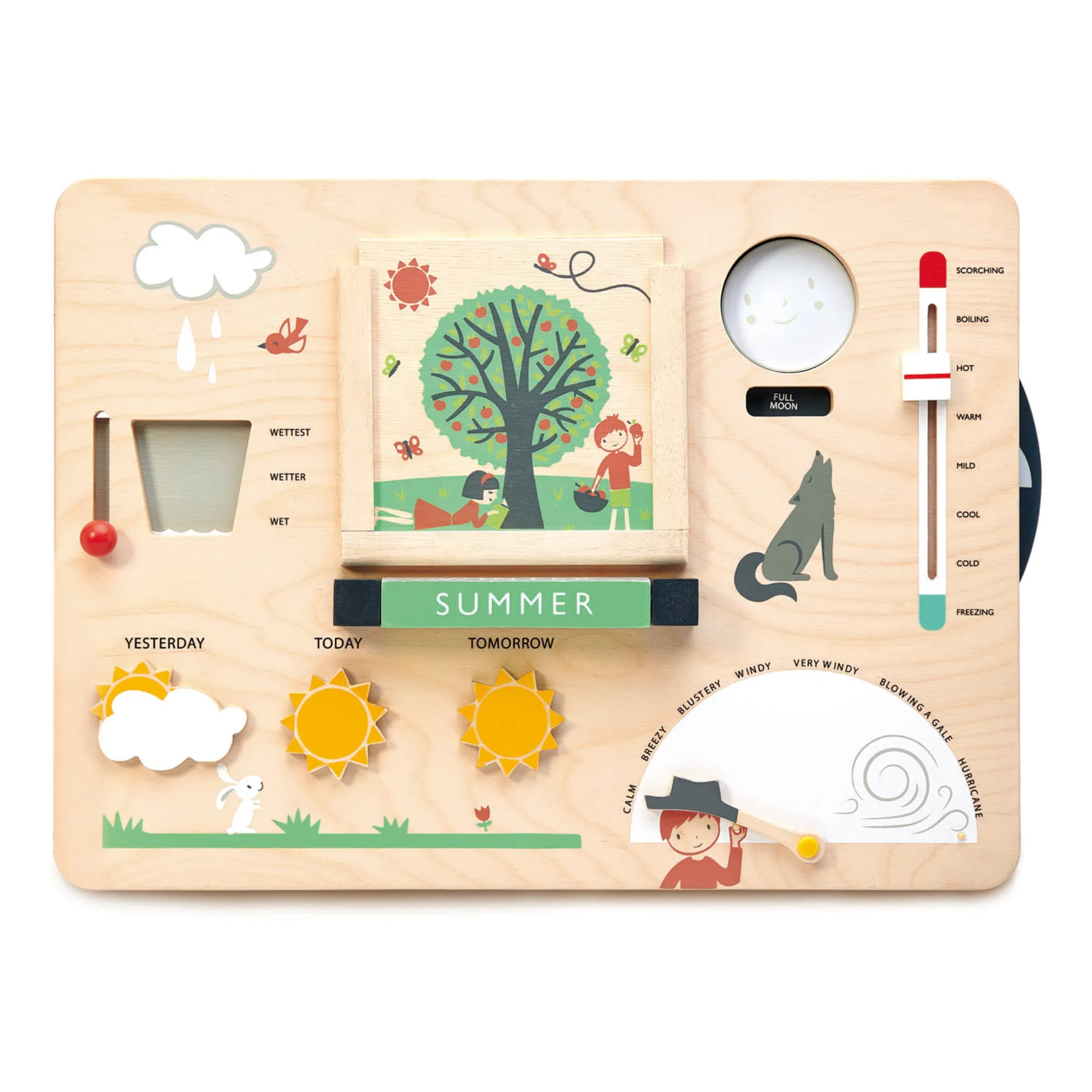 Tender Leaf Toys - Station météo en bois - EN (Tender Leaf Toys) - Couverture
