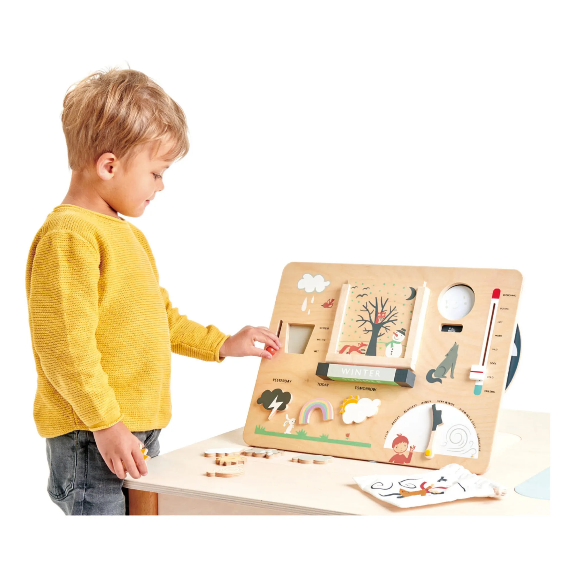 Tender Leaf Toys - Station météo en bois - EN (Tender Leaf Toys) - Image 1