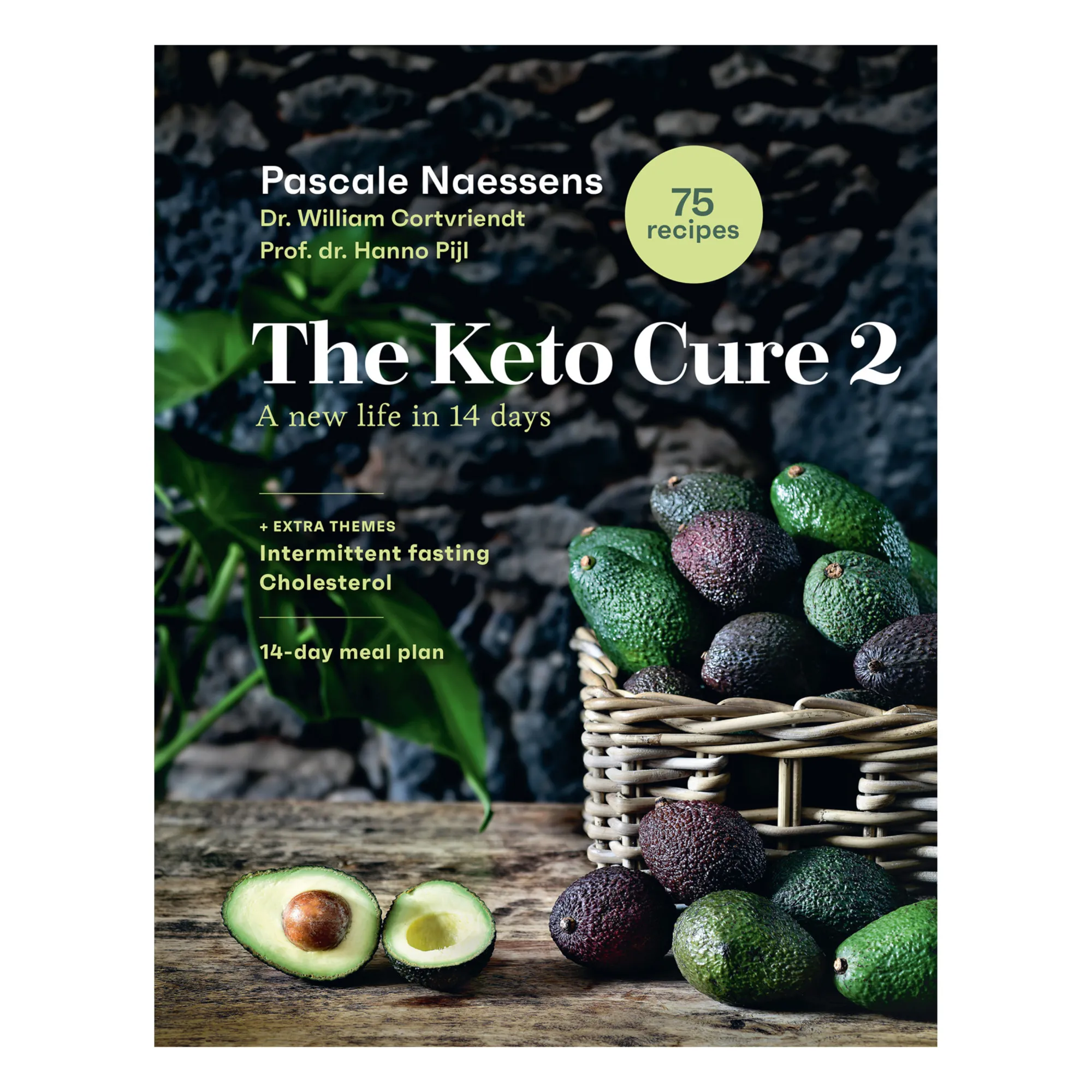 Lannoo Multicoloured The Keto Cure 2 - En