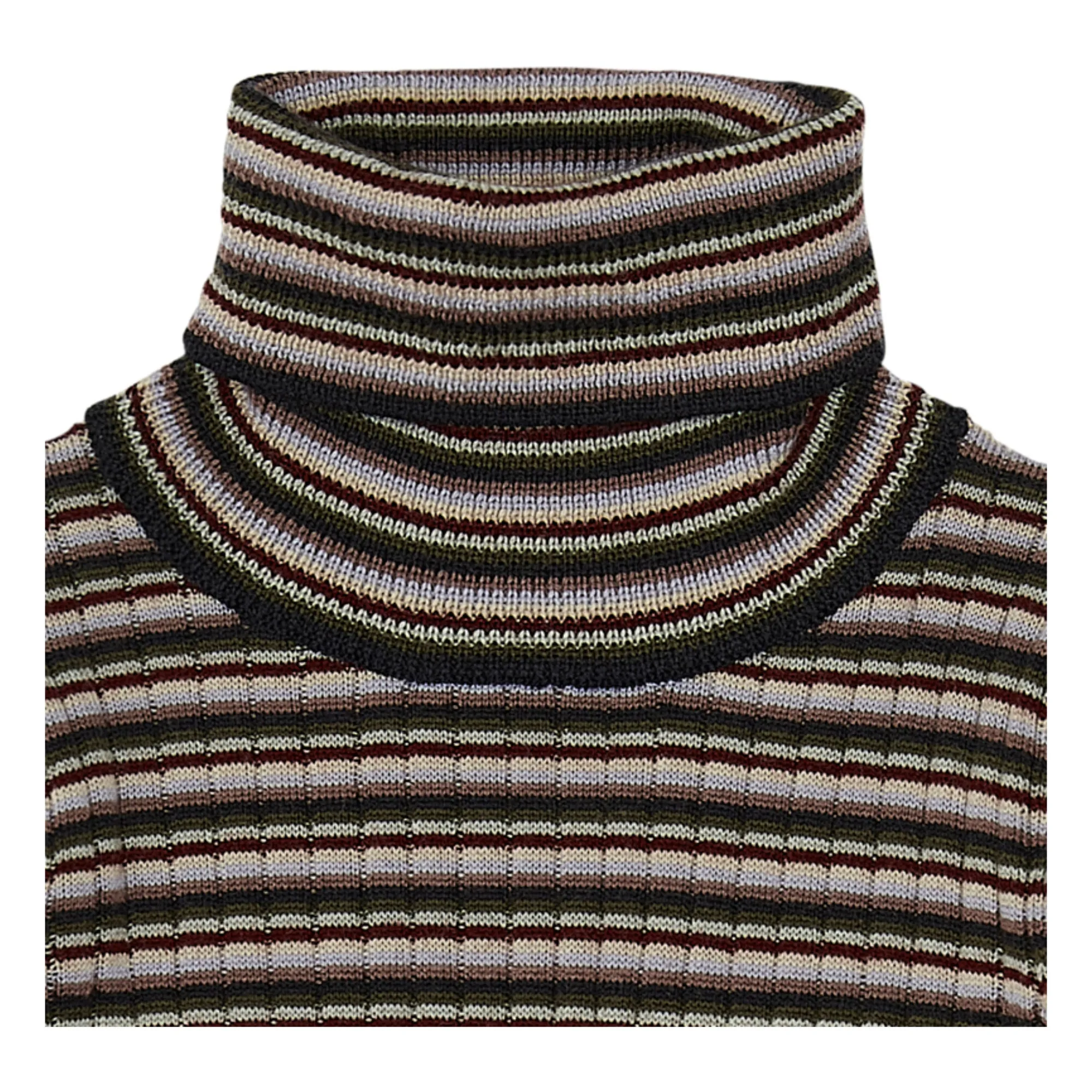Striped Merino Wool Turtleneck | Brown- Product image n°2