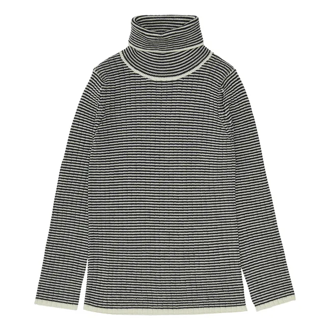 Striped Merino Wool Turtleneck | Navy blue