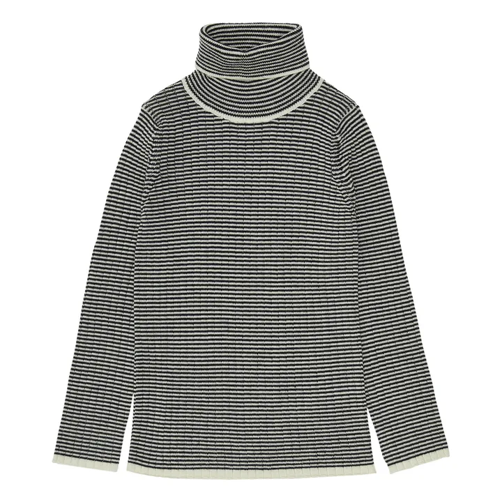 Striped Merino Wool Turtleneck | Navy blue- Product image n°0