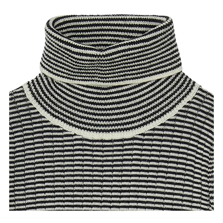 Striped Merino Wool Turtleneck | Navy blue- Product image n°1