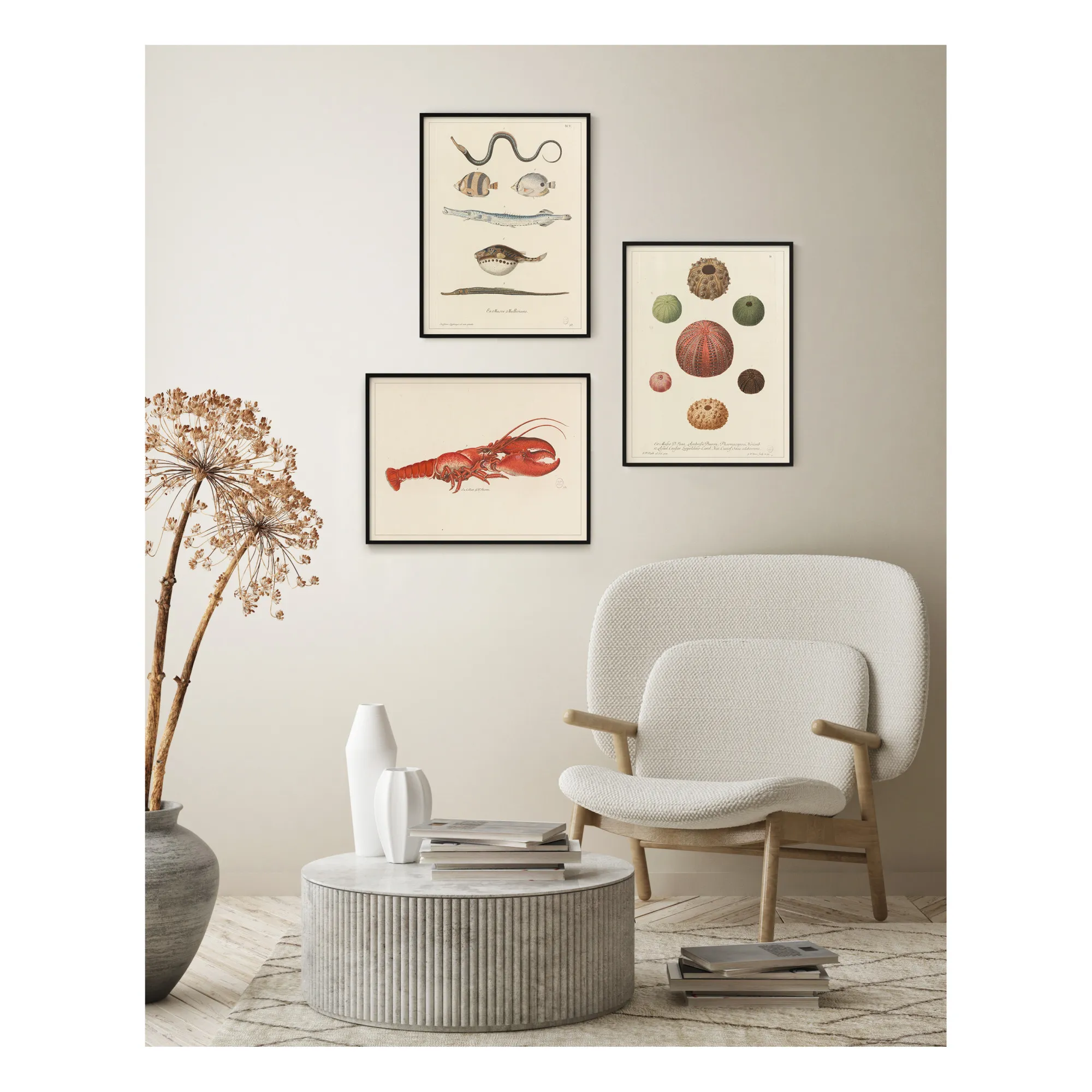 Cabinet of Curiosities Poster - Fish 1- Product image n°1