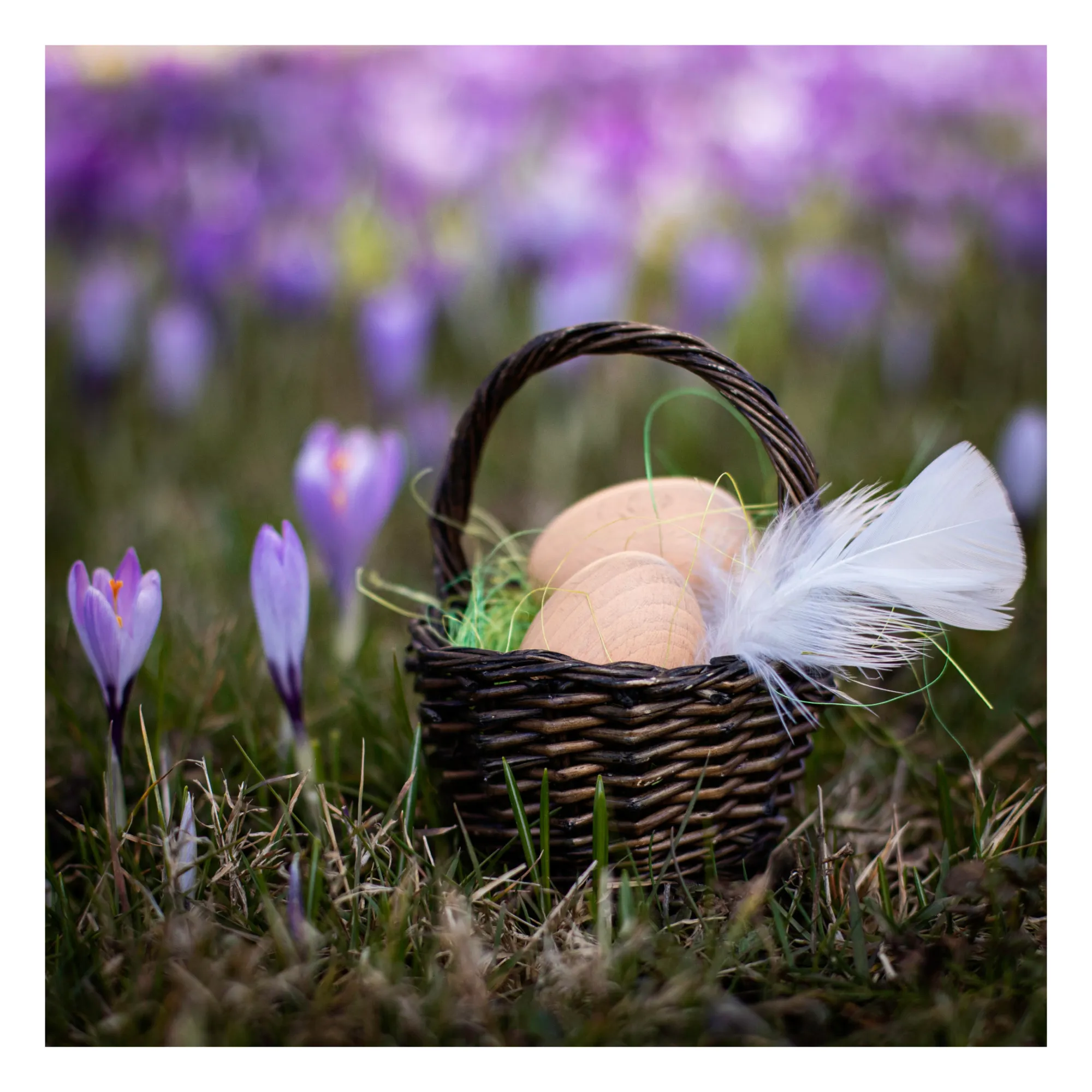 Erzi - Boîte de 6 oeufs bruns (Erzi) - Image 2