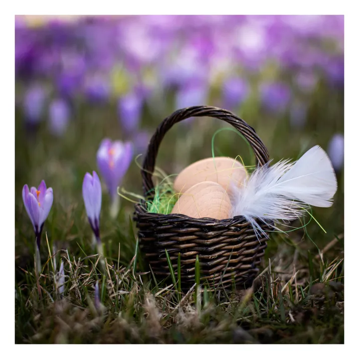 Boîte de 6 oeufs bruns- Image produit n°1