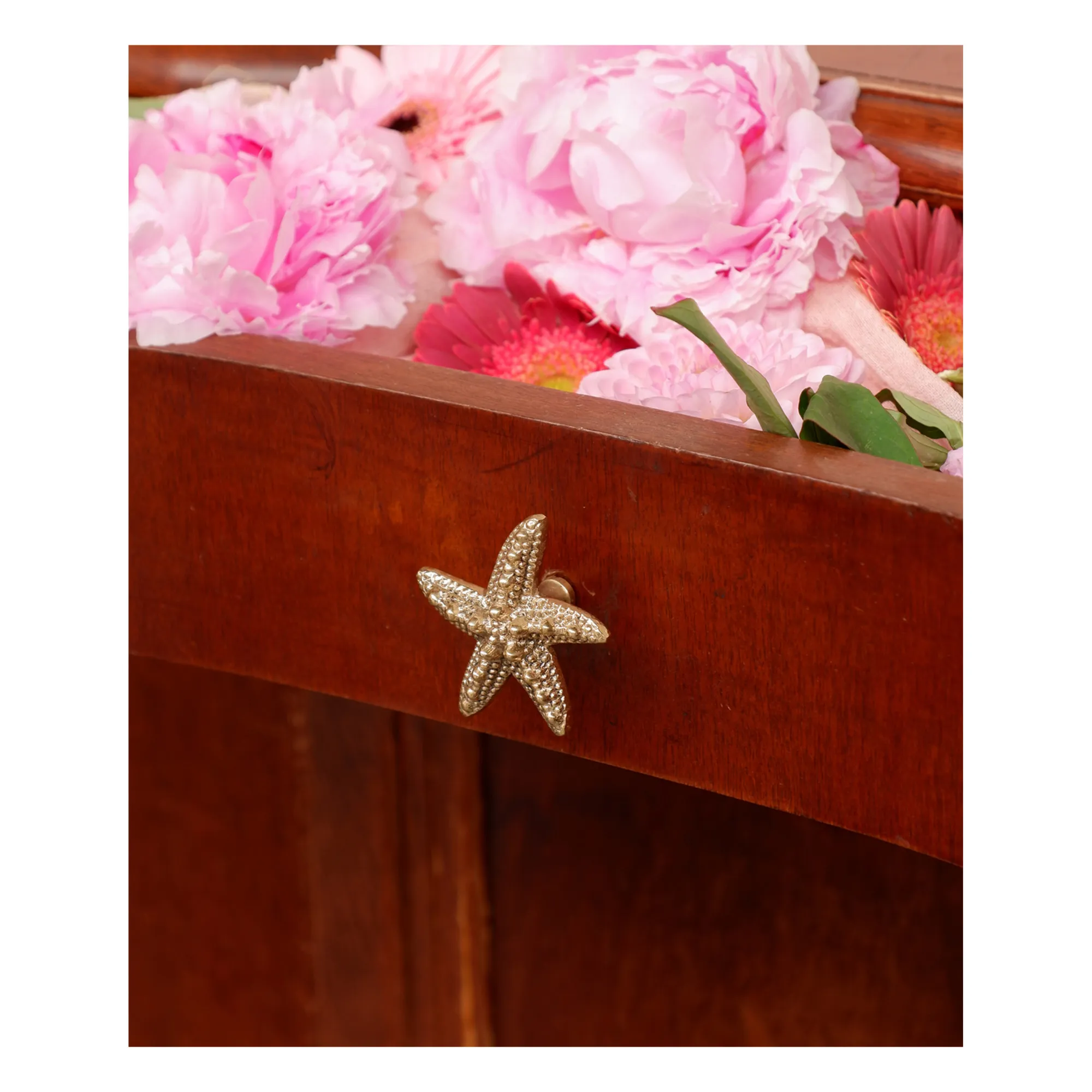 Poignée de porte en laiton Seastar Ruby | Gold- Image produit n°2