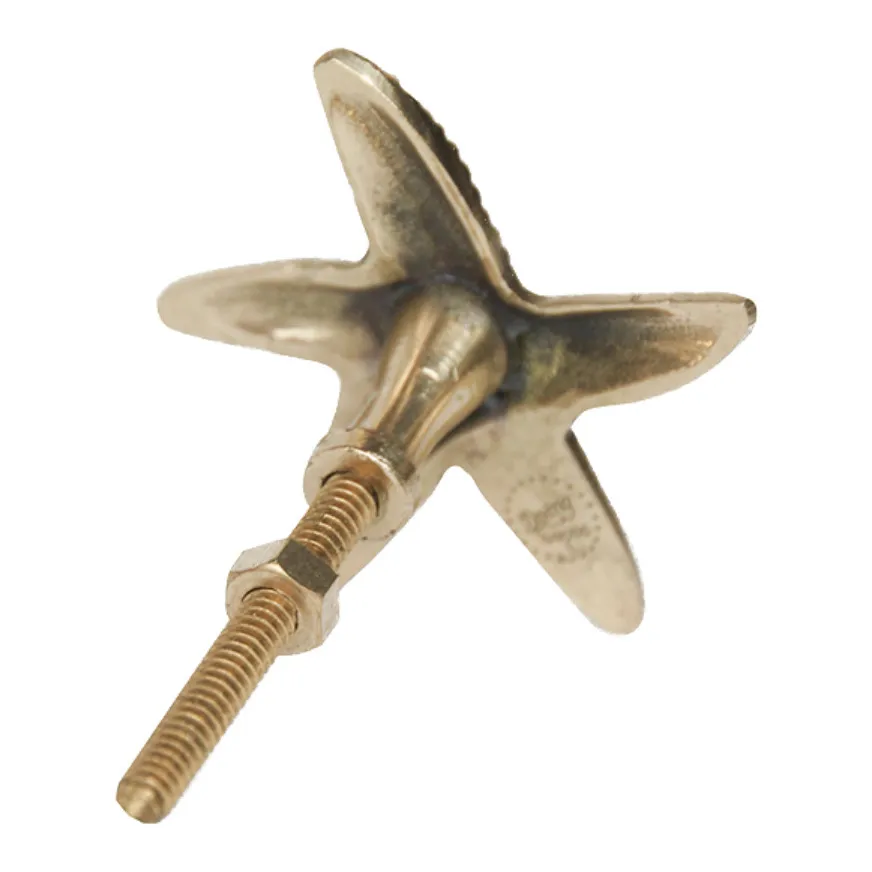 Poignée de porte en laiton Seastar Ruby | Gold- Image produit n°4
