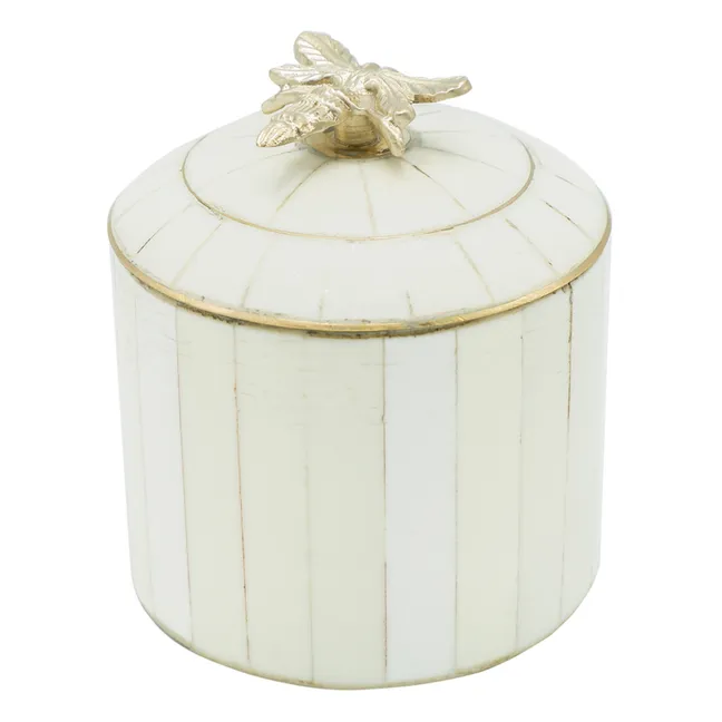 Queen Bee Circus Box | White