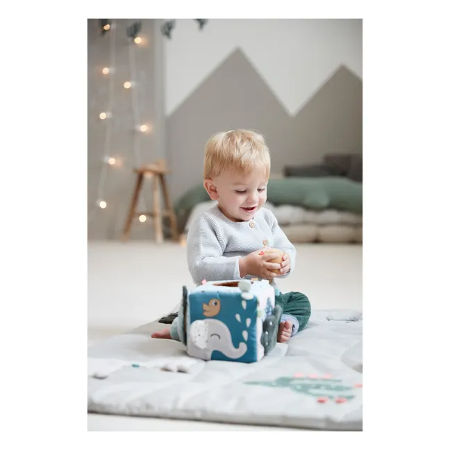 Cubo de estímulo Ciervo 