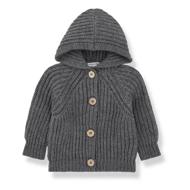 Cárdigan de lana con capucha Aniol | Gris