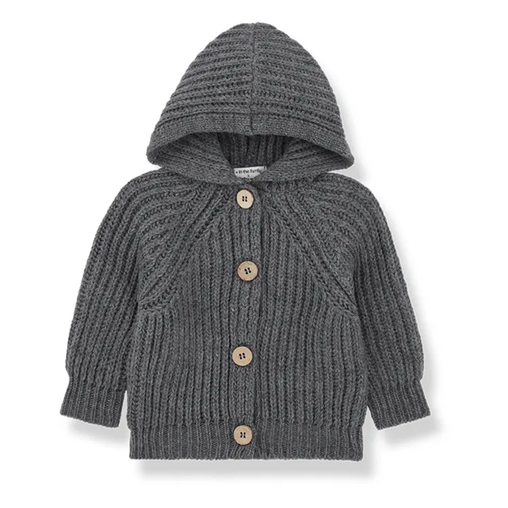 Cardigan en Laine à Capuche Aniol | Gris- Image produit n°0