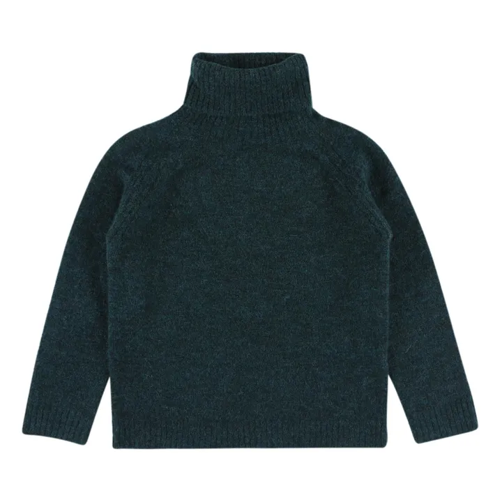 Mason Roll Neck Jumper | Green- Product image n°0