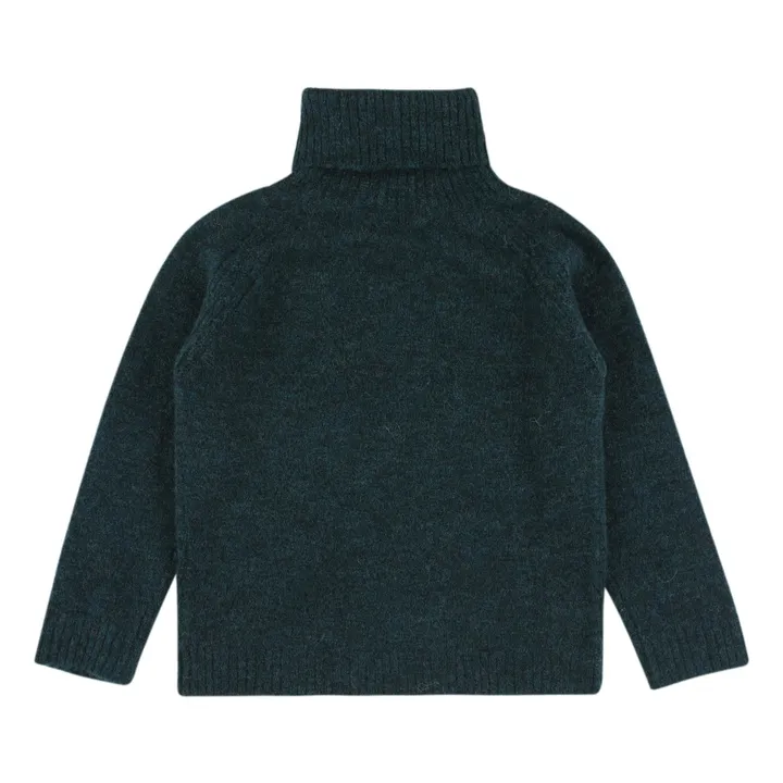 Mason Roll Neck Jumper | Green- Product image n°1