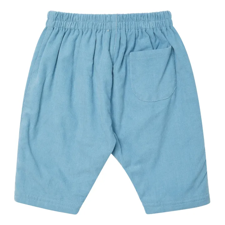 Salix Corduroy Trousers | Blue- Product image n°1