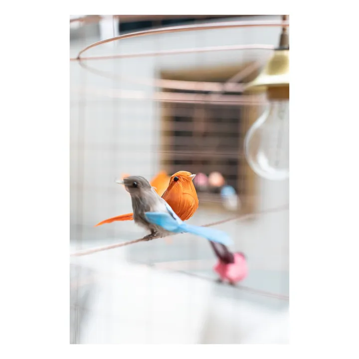 Suspensión gran volière- Imagen del producto n°2