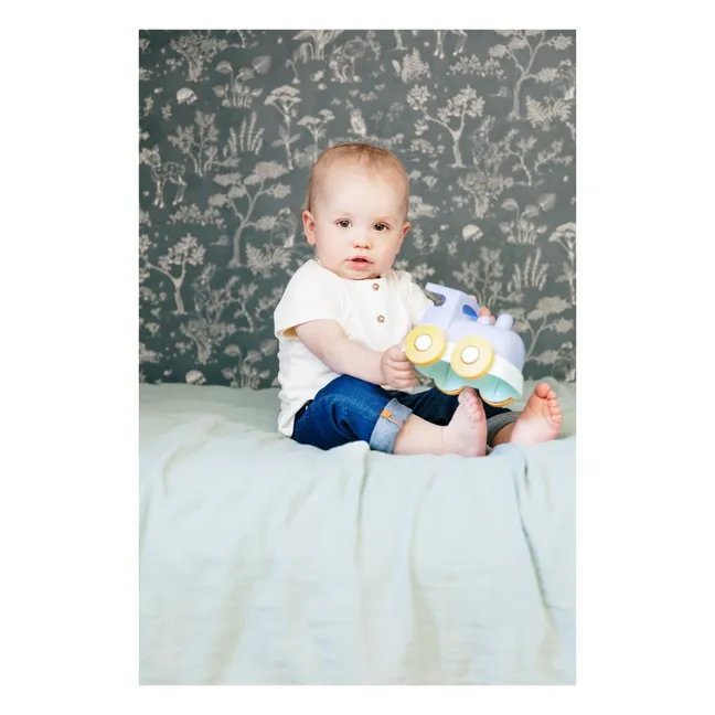 Train à promener | Bleu