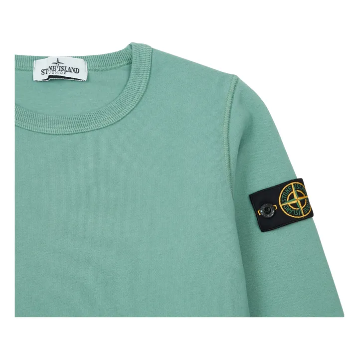 Basic Sweatshirt | Sage- Product image n°1