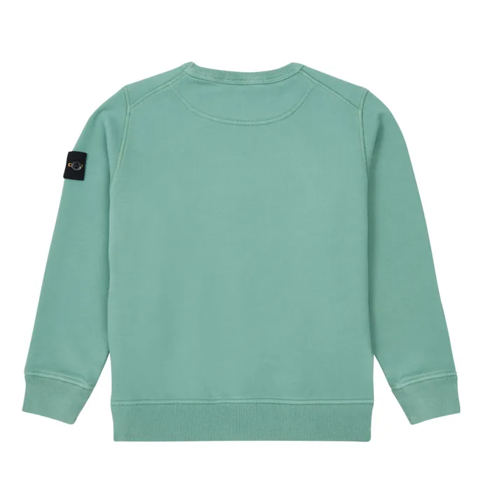 Basic Sweatshirt | Sage- Product image n°2