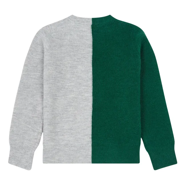 Pull Bicolore Daan | Vert