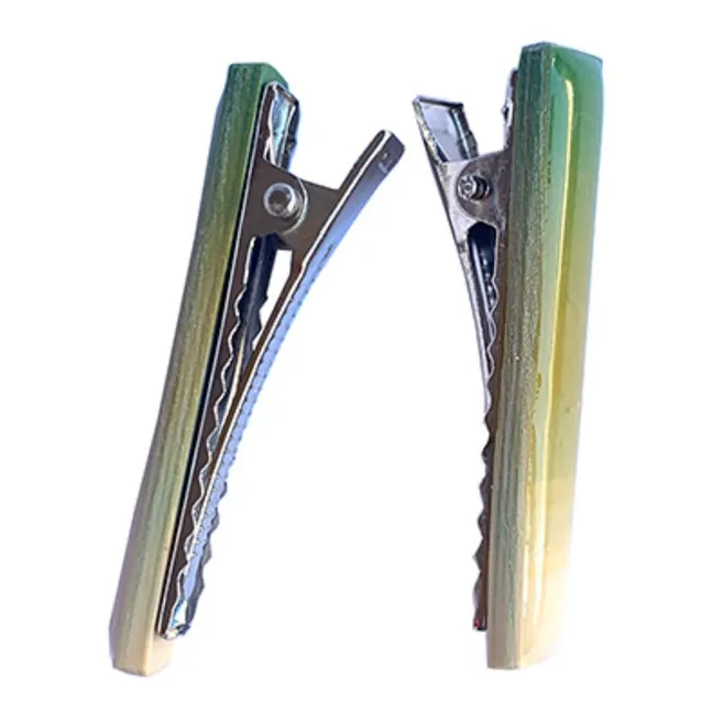 Hair Clips - Set of 2 | Green
