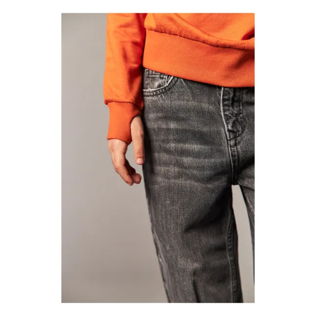 Jeans in cotone biologico Benny | Grigio antracite