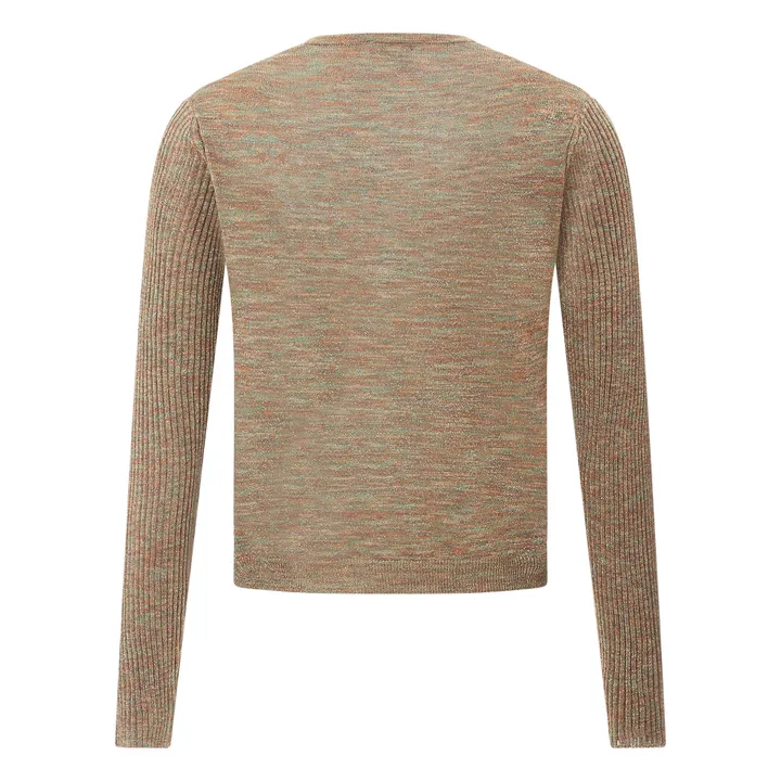 Pull Col V Lurex | Noisette- Image produit n°1