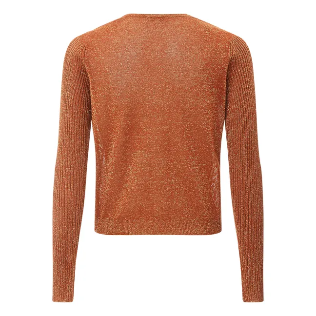 Pull Col V Lurex | Terre de soleil