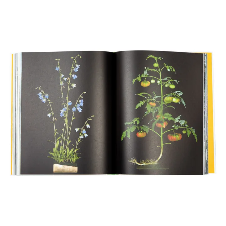 Evergreen living with plants - EN- Imagen del producto n°3