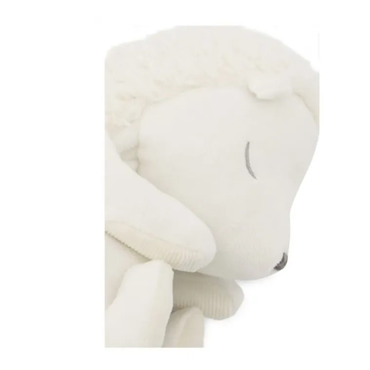 Hérisson dormeur | Ecru- Image produit n°3